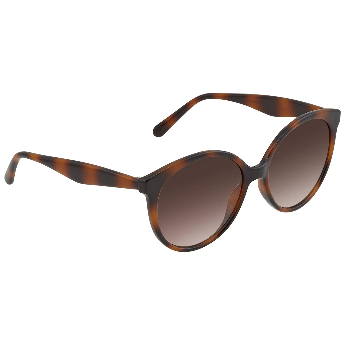 ferragamo-sf1071s-240-58-2.jpg