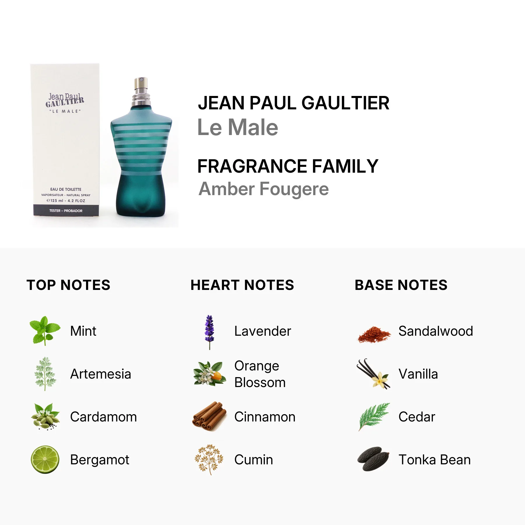 jean-paul-gaultier-8435415011754-2.jpg