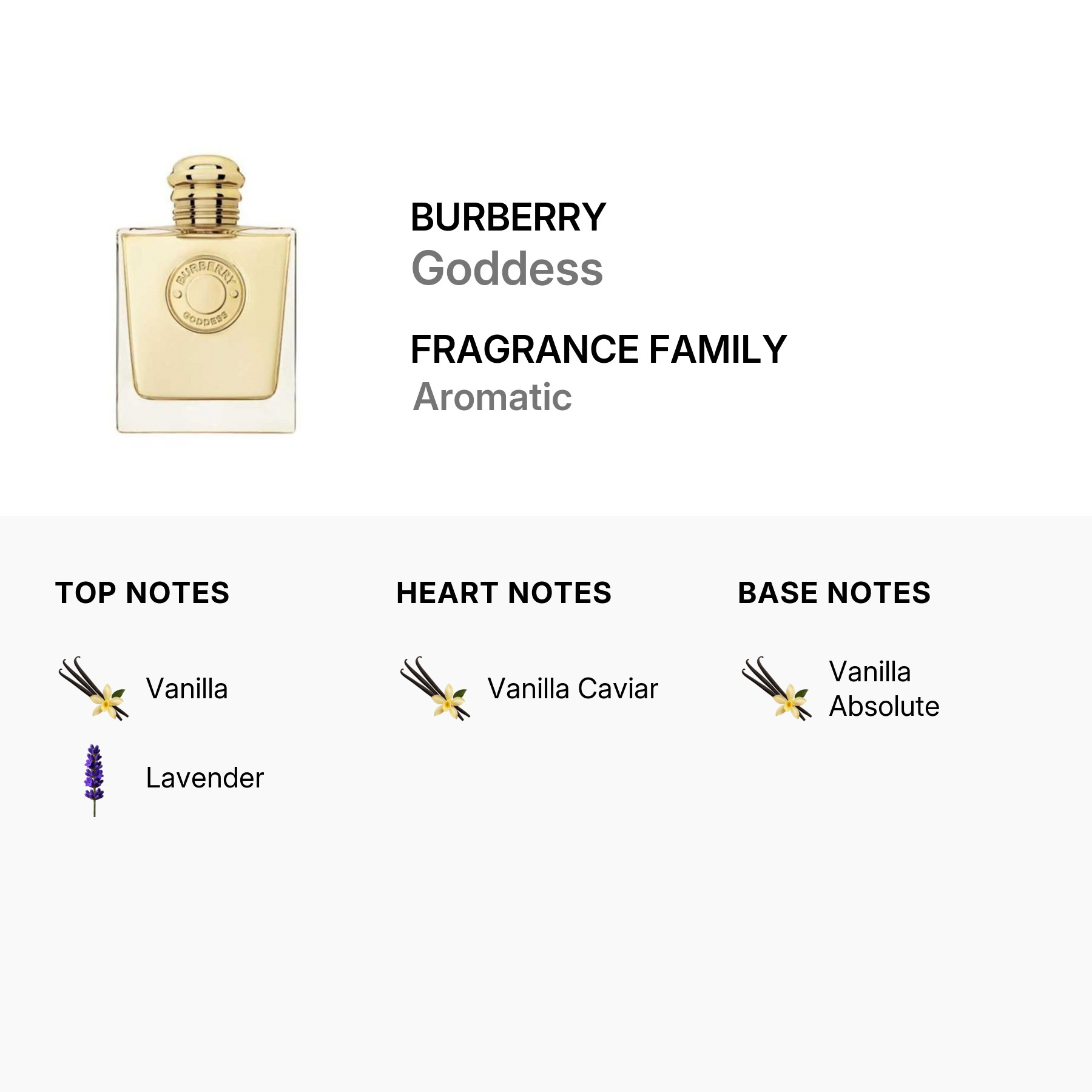burberry-3616302020683-2.jpg