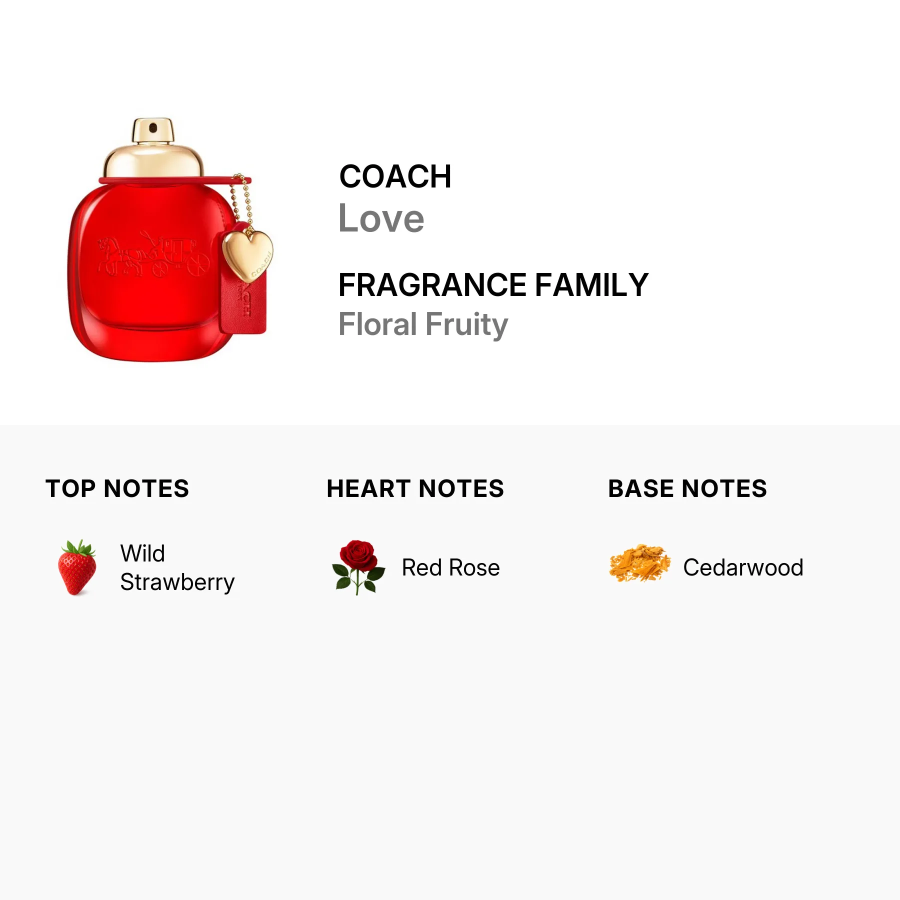 coach-group-17705-2.jpg