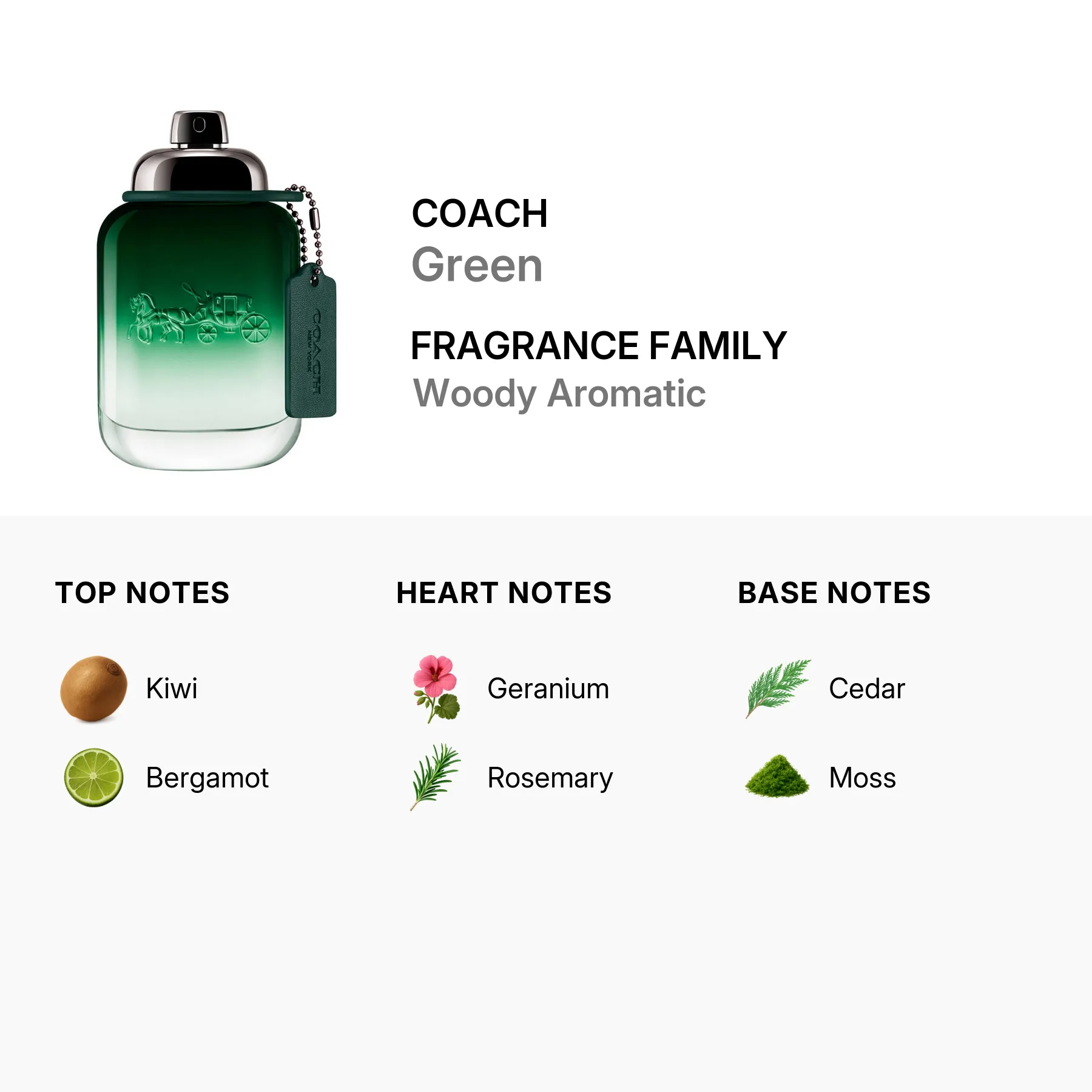coach-3386460141307-2.jpg