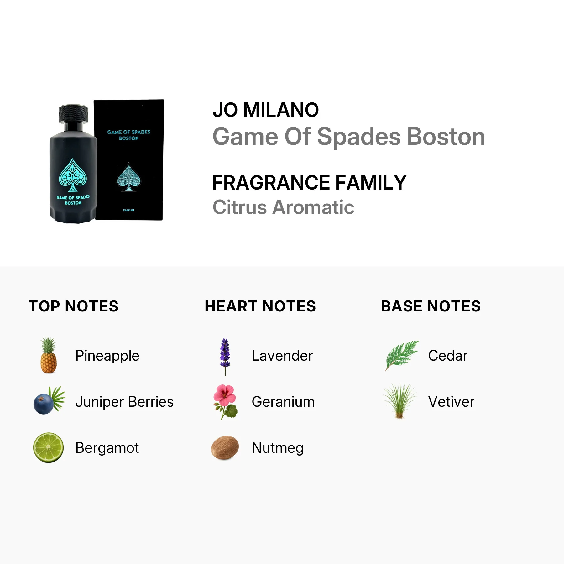jo-milano-850051043026-2.jpg